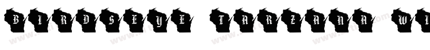 BirdsEye Tarzana Wi字体转换